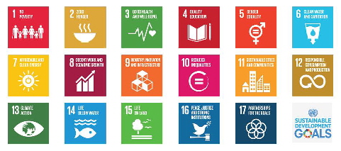 17 SDG Ziele